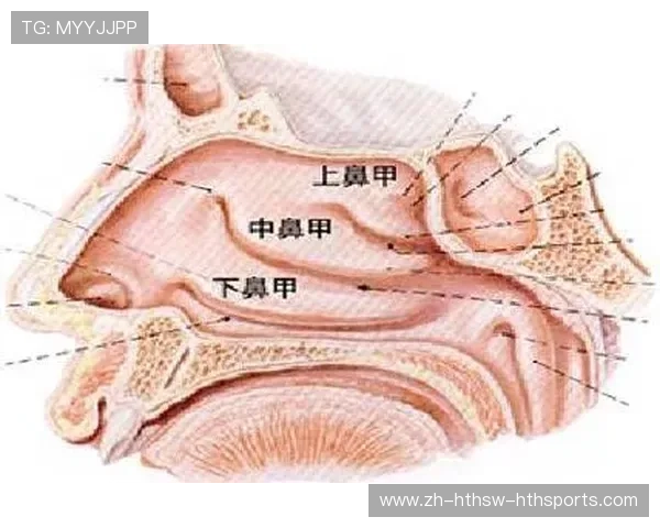 鼻腔适应力测试：判断你是否适合带鼻炎冬泳